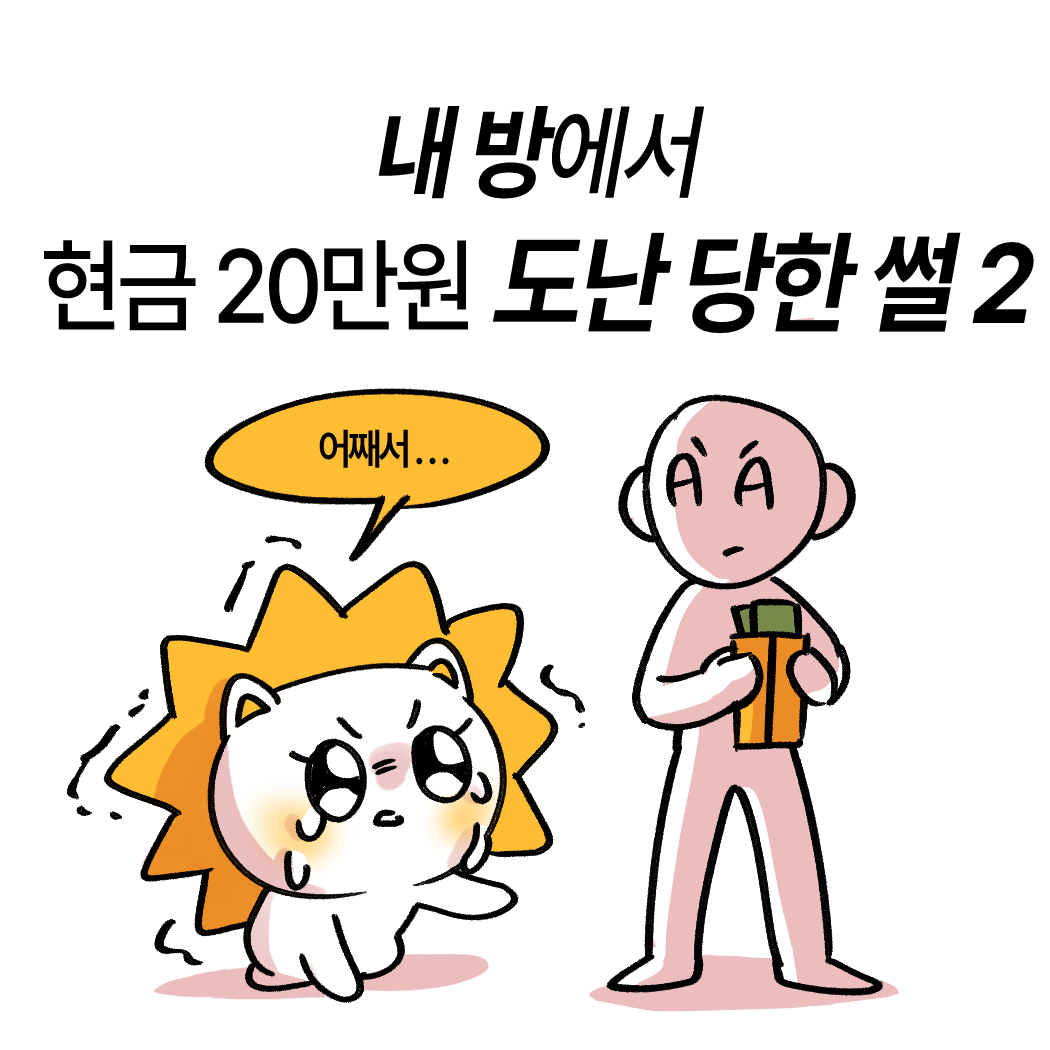 내 방에서 현금 20만원 도난당한 썰 2